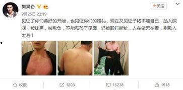 娱乐圈吃瓜熊婶,揭秘熊婶的吃瓜传奇