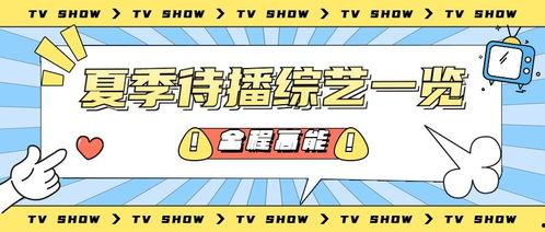 娱乐吃瓜公众号推荐,明星们的幕后故事，吃瓜群众必看！