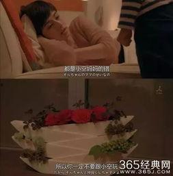 娱乐吃瓜酱人贩子小说